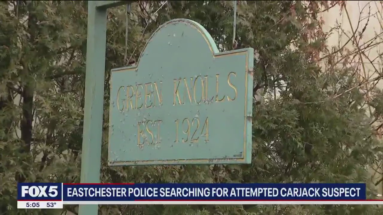 Suspect drives off with child in an attempted carjacking | FOX 5 New York
