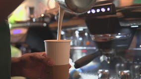 Coffee Uniting People in Tampa