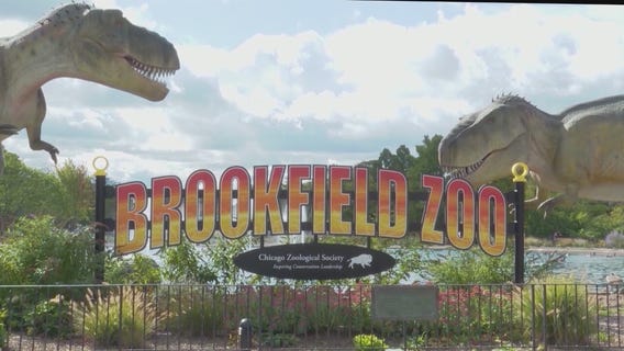 Here are Brookfield Zoo's weekend events