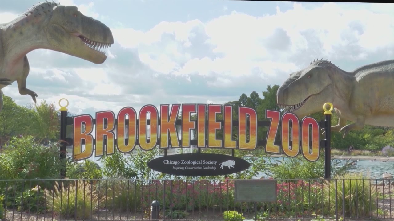 Here are Brookfield Zoo's weekend events