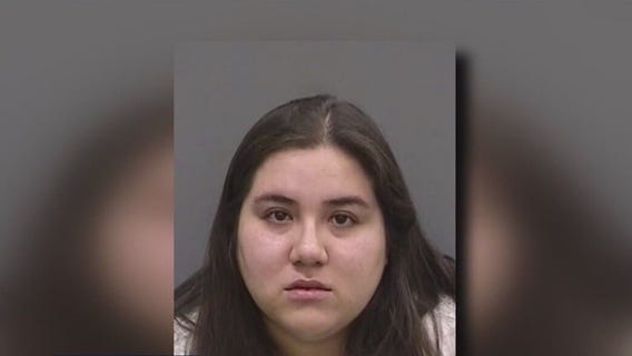 Sentencing in Tampa animal abuse case