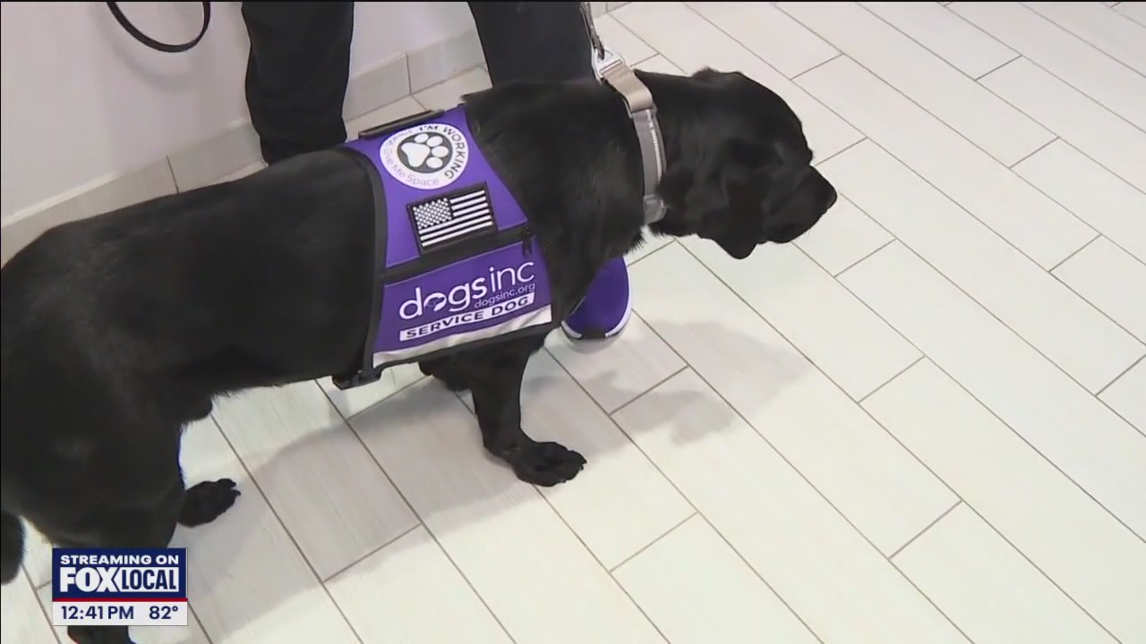Dogs Inc. pairs K-9s with veterans, visually impaired