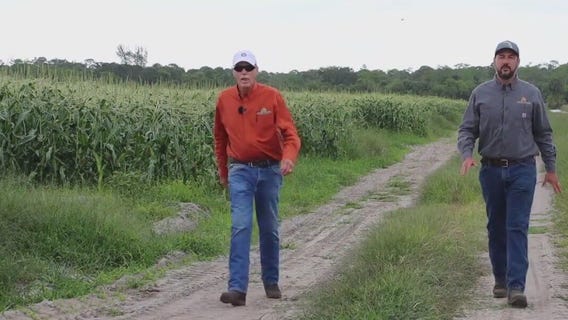 Feeding Florida: Grower's Management