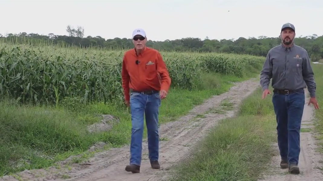 Feeding Florida: Grower's Management