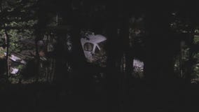 Small plane crashes in Elk Grove Village forest preserve