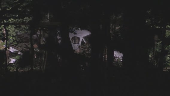 Small plane crashes in Elk Grove Village forest preserve