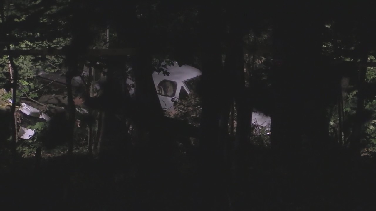 Small plane crashes in Elk Grove Village forest preserve