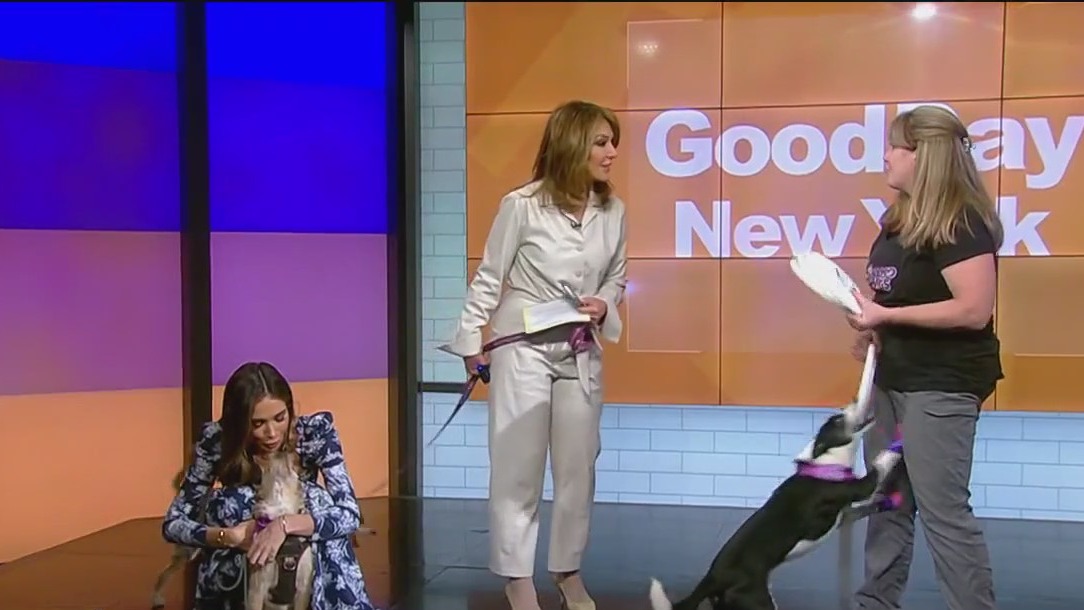 Long Island Family Pet Show