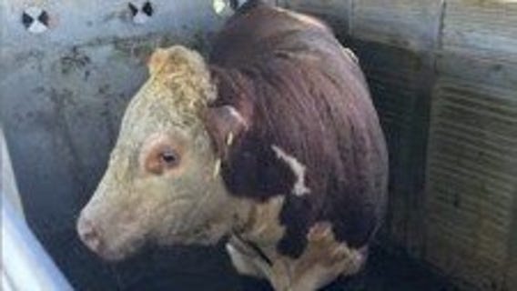 Fox 32's Week in Review - Sept. 3