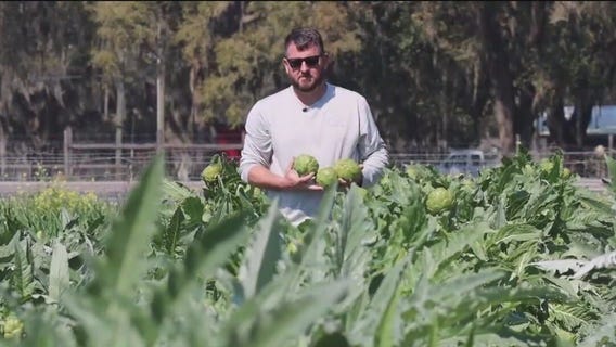 Parkesdale?s rich harvest goes back generations