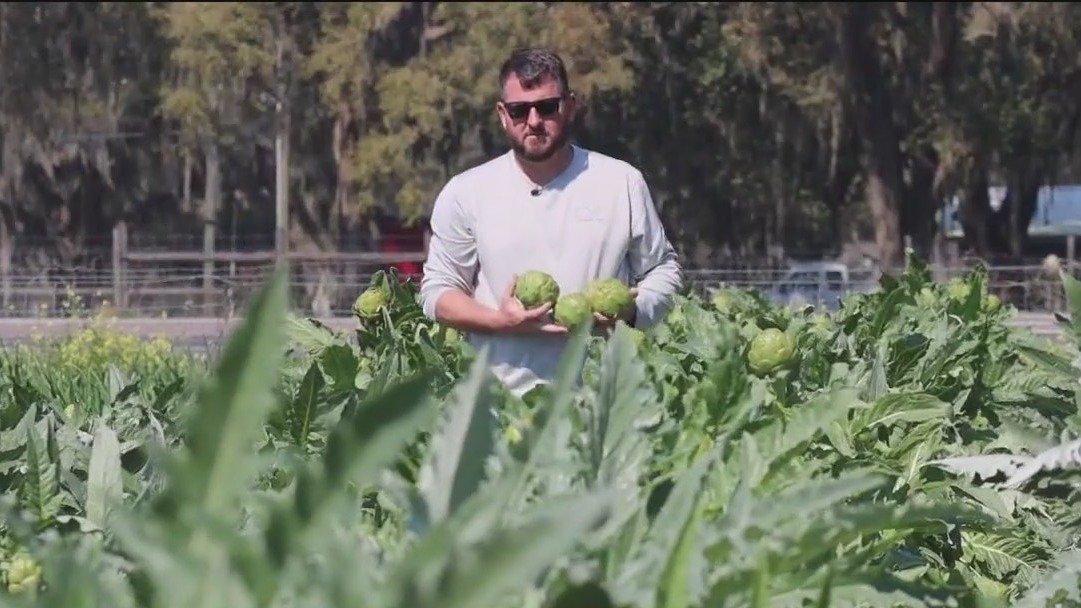 Parkesdale?s rich harvest goes back generations
