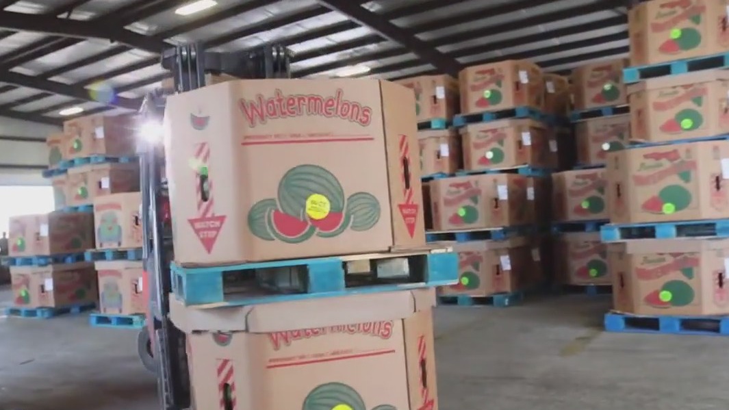 Feeding Florida: multi-generation watermelon farm