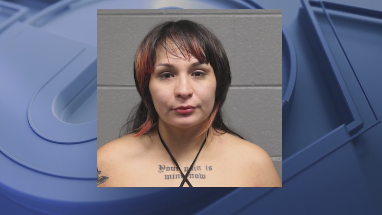 Woman who allegedly attacked Chicago cops released on no cash bail