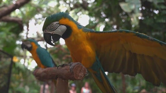 Sunken Gardens? animal care center