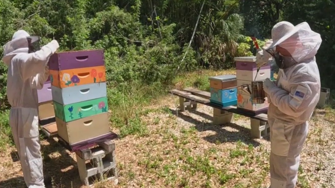 Berkeley Prep's beekeeping club