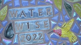 St. Pete couple recognized for yard