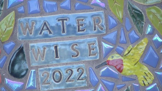 St. Pete couple recognized for yard