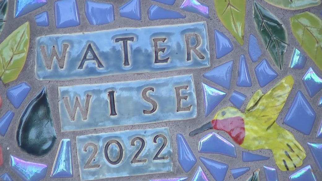 St. Pete couple recognized for yard