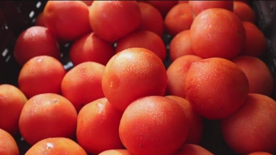 Behind the scenes of Stalk and Vine on 39