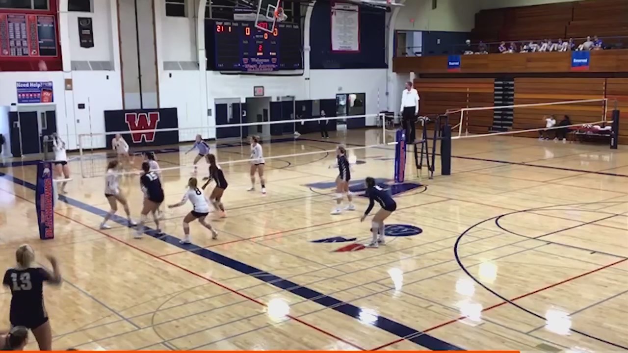 Lemont volleyball team disqualified from playoffs for playing extra game this season