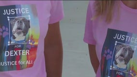 Rally set for Monday in animal cruelty case