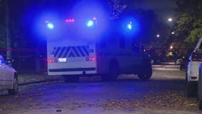 Pregnant woman shot on Chicago's West Side, unborn child dies: sources
