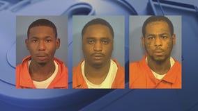 Chicago trio allegedly steals $6K in alcohol from suburban liquor store, leads police on chase