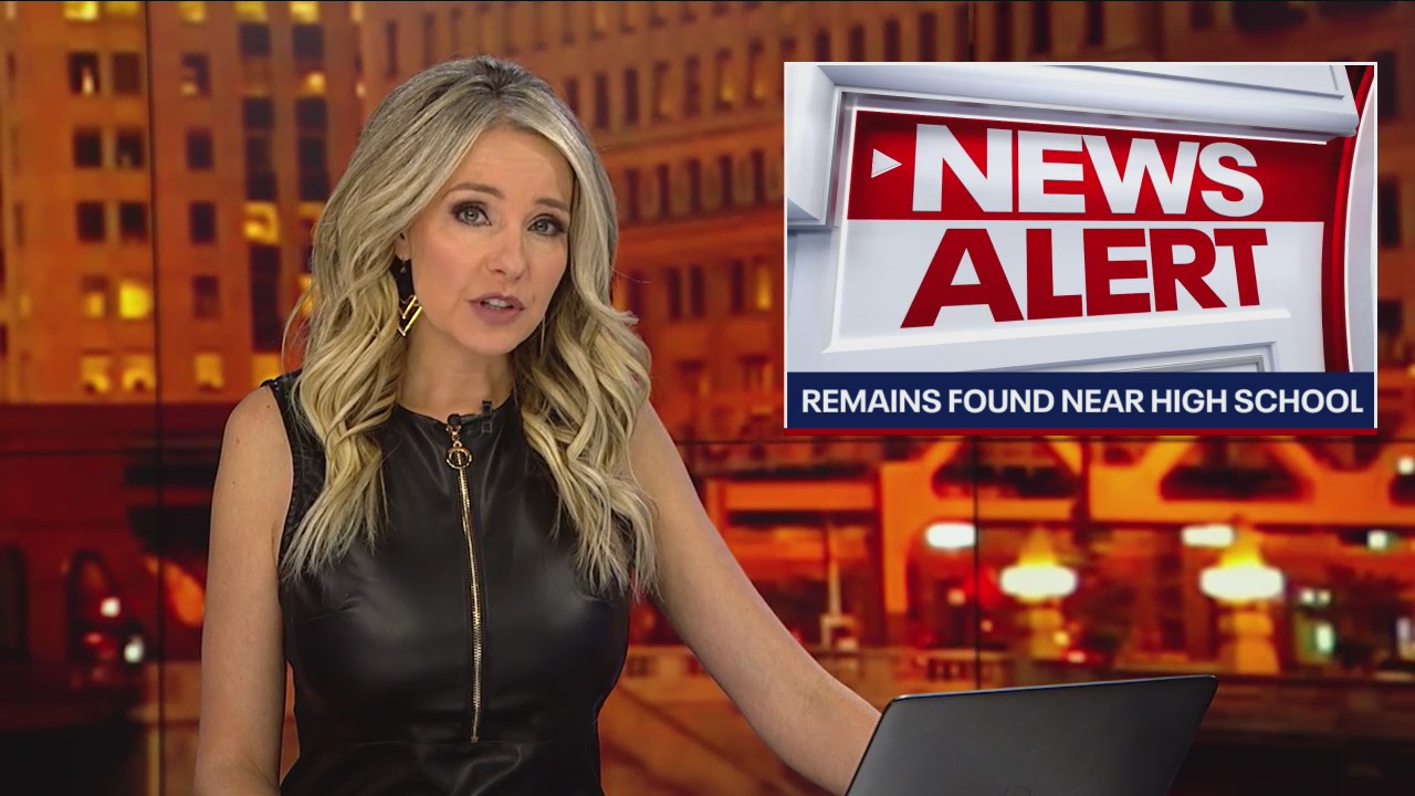 Human remains found in field in Archer Heights, police say