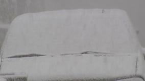 Chicago hit with Halloween snow