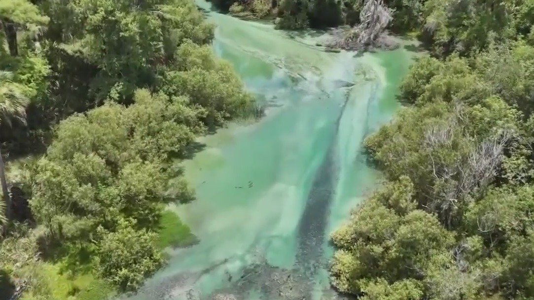 A birds-eye view of Lithia Spring Park