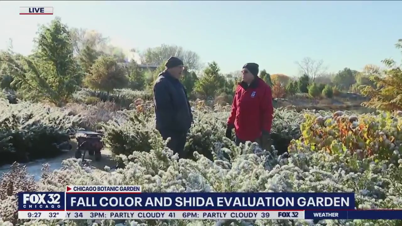 Chicago Botanic Garden is testing the toughness of plants to see if they can survive Chicago's weather