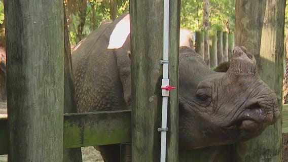 ZooTampa's signature encounters