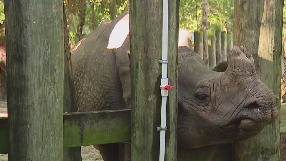 ZooTampa's signature encounters