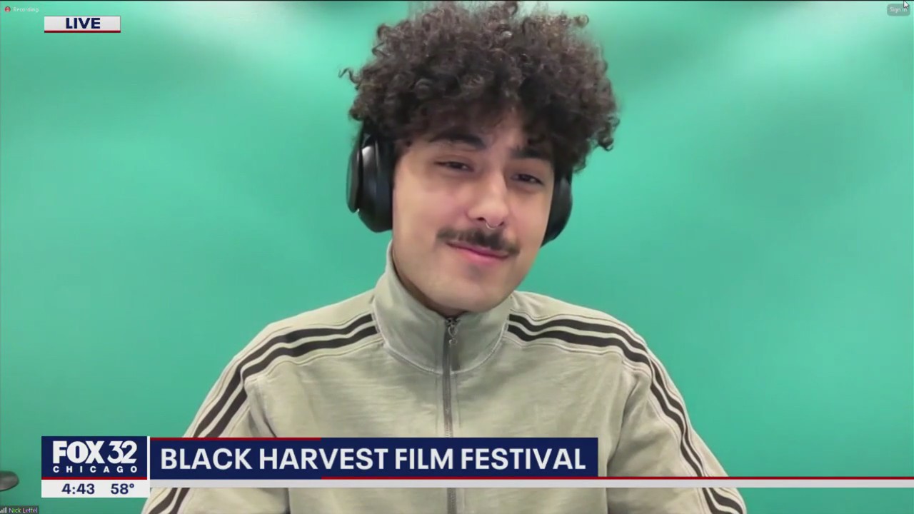 Black Harvest Film Festival this weekend in Chicago