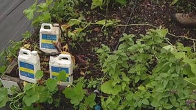 Fertilizer ordinances could be in place with rain