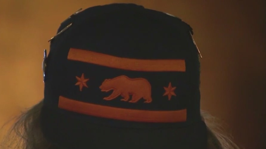 Bears fans celebrate a big win