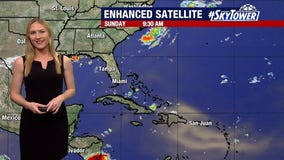 Quiet week ahead for tropics