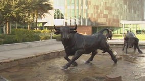 USF could change some policies following protests