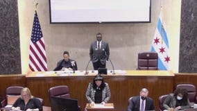Chicago City Council approves Johnson's first budget to delight of some community groups