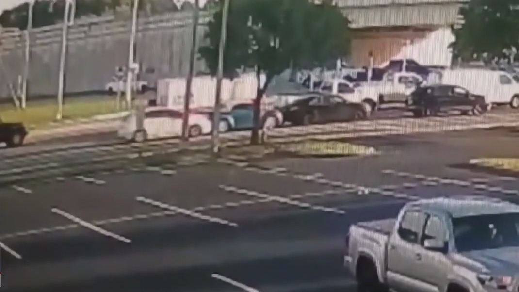 Pinellas County attorney speaks about hit-and-run | FOX 13 Tampa Bay