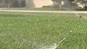 Tampa water restrictions could become permanent