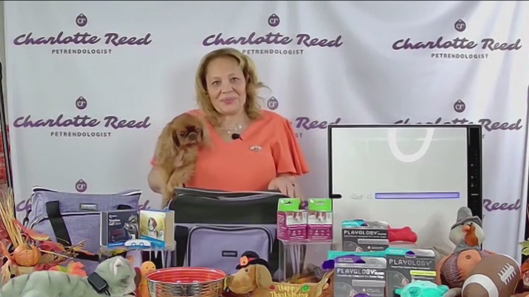 Survival kit for your pets during the holidays