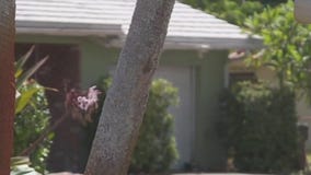 Florida insurance report indicates stability