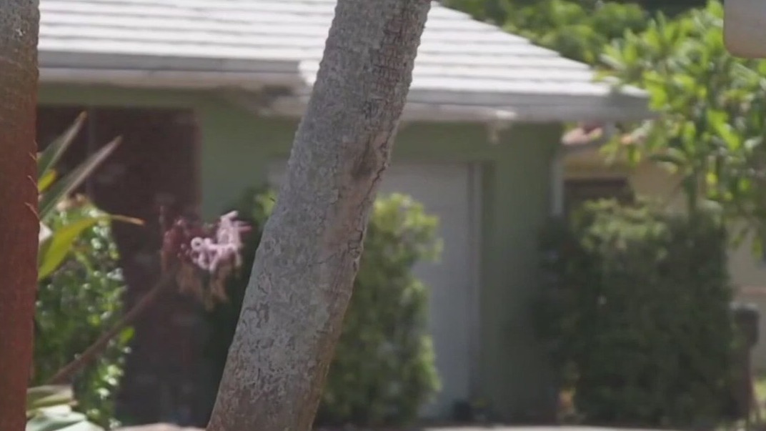 Florida insurance report indicates stability