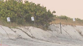 Pinellas beach dunes inspected after Debby
