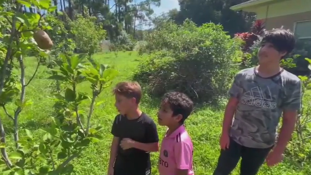 Clearwater community garden party