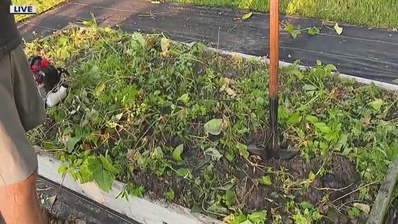 Preparing your beds for a fall planting