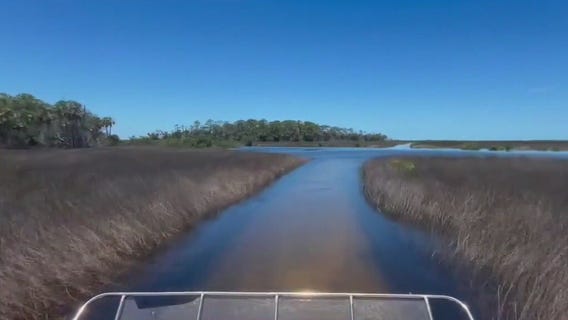 Bayport Airboat Tours in Weeki Wachee