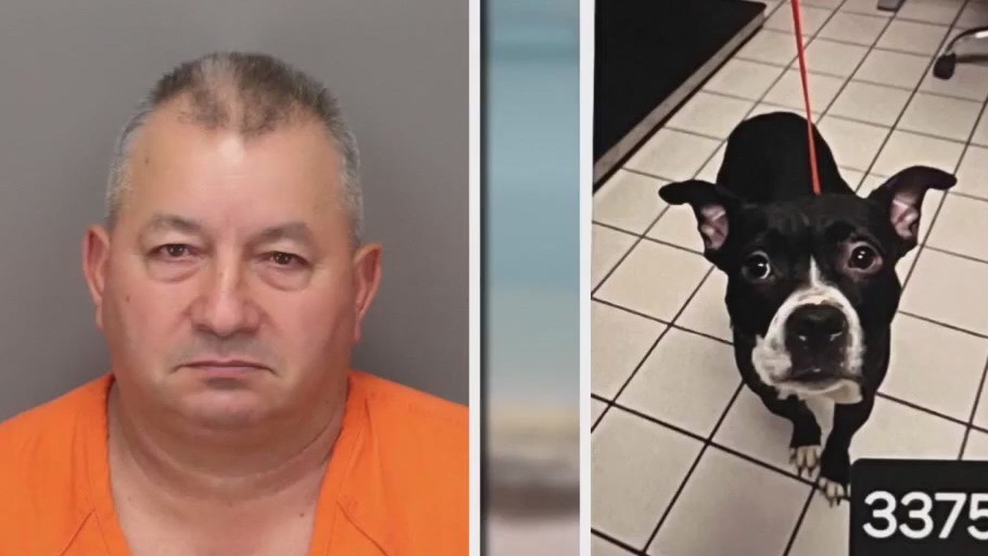 St. Pete man accused of killing dog pleads not guilty | FOX 13 Tampa Bay