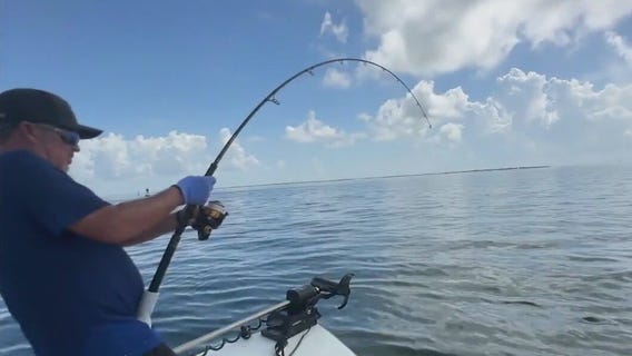 Mak'n Waves: Tarpon in Tampa Bay